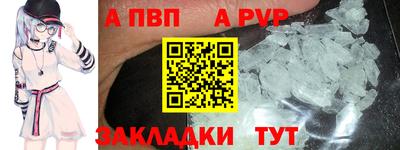spice Новодвинск