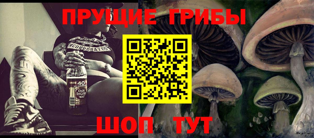 Галлюциногенные грибы GOLDEN TEACHER Славянск-на-Кубани