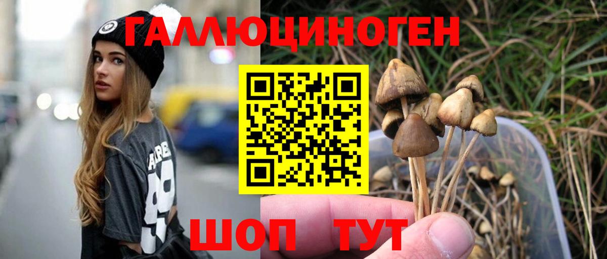 Славянск-на-Кубани  Галлюциногенные грибы MAGIC MUSHROOMS  Вход с VPN 